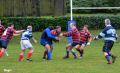 DSC_0078.JPG