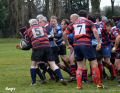 DSC_0168.JPG
