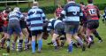 DSC_0227.JPG
