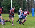 DSC_0247.JPG