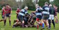 DSC_0417.JPG