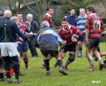 DSC_0435.JPG